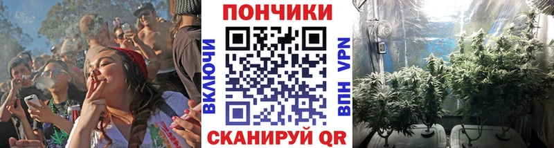 Конопля SATIVA & INDICA  купить наркоту  Мещовск 